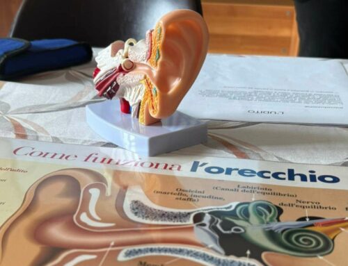 Le quinte esplorano l’apparato uditivo