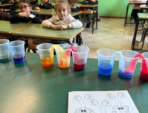 Alla scoperta dei colori secondari!