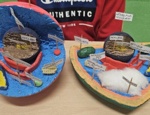 È tempo di cellule per la classe quarta!